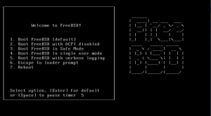 FreeBSD Installation Screenshot 1